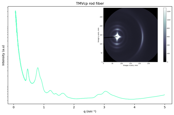 TMV Hierarchical Structure 1