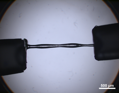 TMV Hierarchical Structure 2